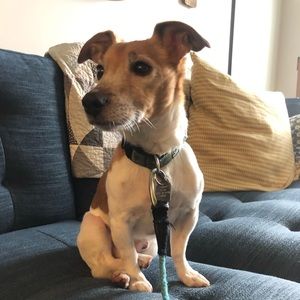 Meet your Posher, Kristen